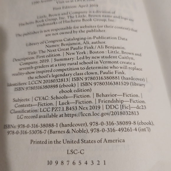 The Next Great Paulie Fink This is how you become a legend by Ali Benjamin - Picture 8 of 12